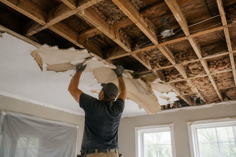 Ceiling Removal Service in Charleston, SC