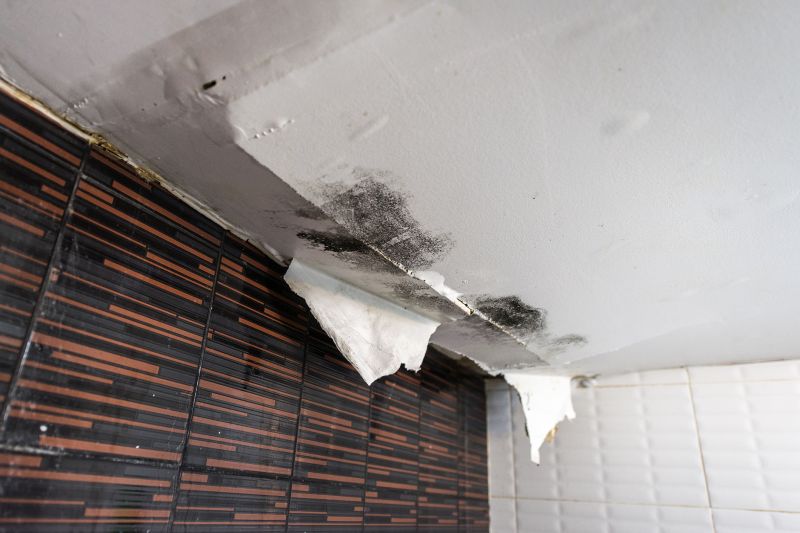 Water Damage Ceiling Repair in Santa Rosa, CA