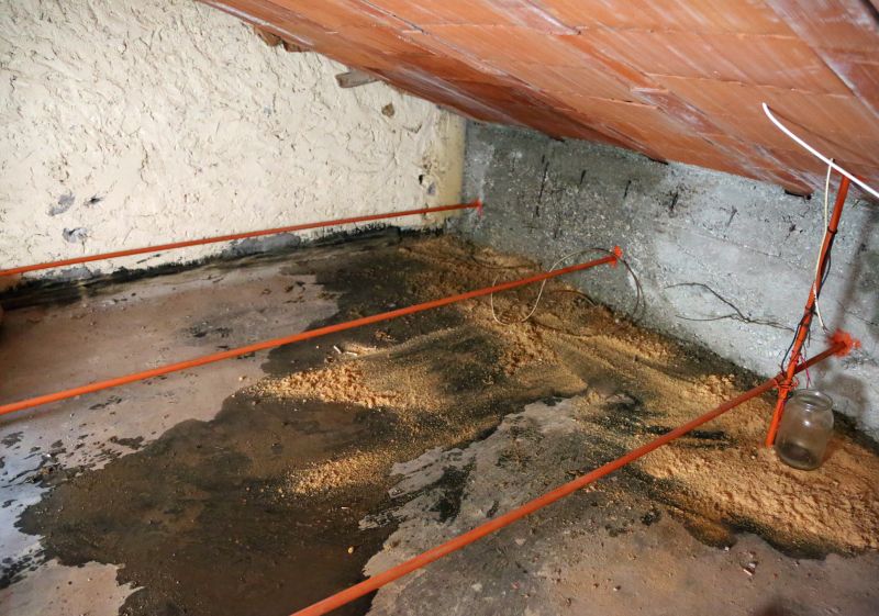 Water Damage Ceiling Repair in Conroe, TX